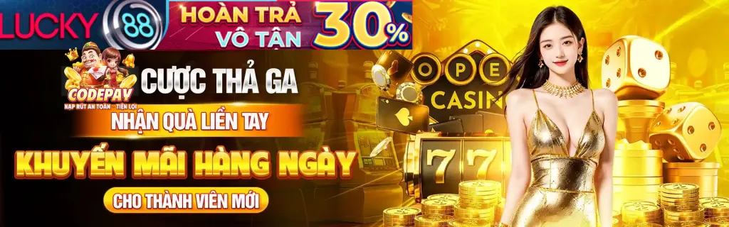 Cookie của bên thứ ba và các đối tác